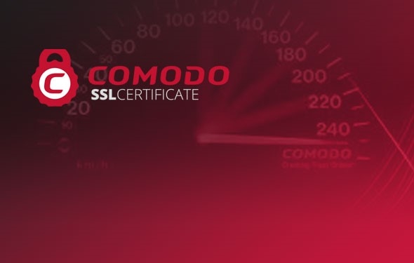 Comodo IT and Securtiy Manager 5-25 Kullanıcı 1 Yıl Satın Al